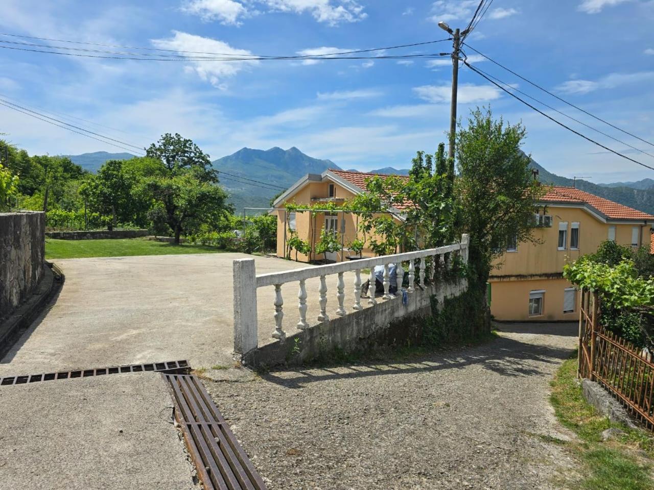 Village Experience - Skadar Lake ヴィルパザル エクステリア 写真