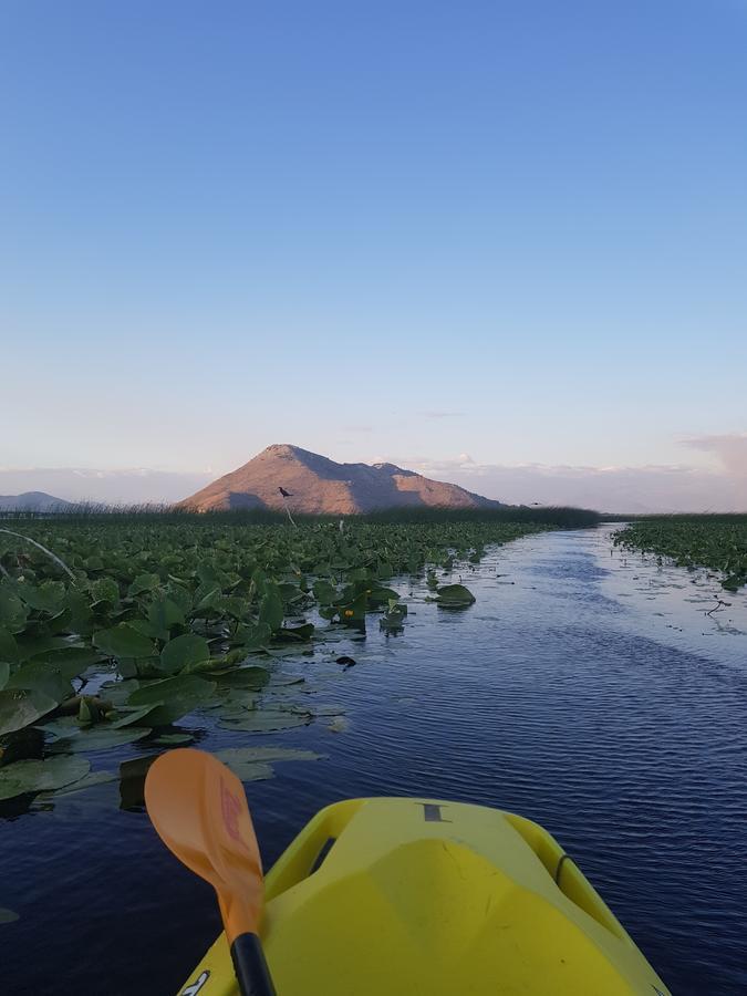 Village Experience - Skadar Lake ヴィルパザル エクステリア 写真